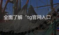 全面了解“tg官网入口”:畅享更优质的数字体验