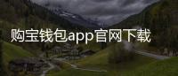 购宝钱包app官网下载安装：开启无缝数字生活的新入口