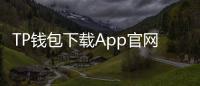 TP钱包下载App官网正版:官方渠道安全入场,轻松掌控数字资产