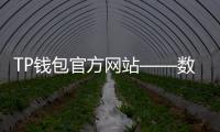 TP钱包官方网站——数字资产管理的安全之选