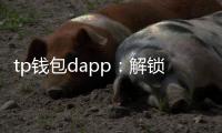 tp钱包dapp：解锁区块链应用的全新体验
