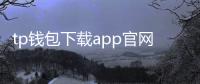 tp钱包下载app官网正版区块链——官方渠道的安全之选