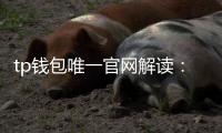 tp钱包唯一官网解读：官方入口背后的信任与体验